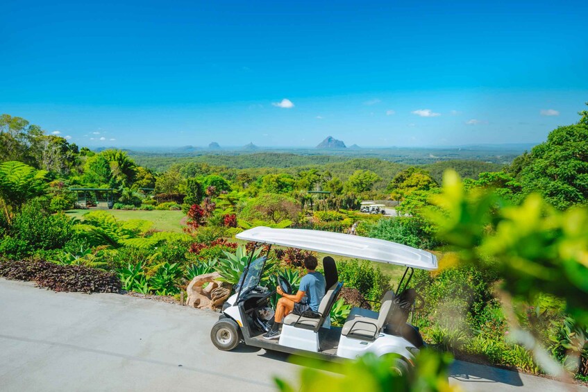 A golf cart on a paved path with a person seated, surrounded by lush greenery and a distant mountain range under a clear blue sky. 1