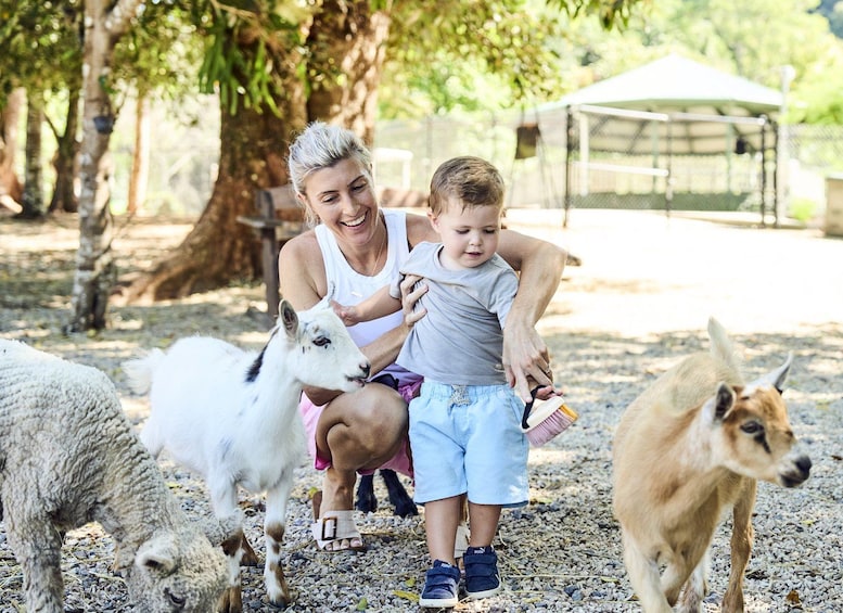 A person with a child and two goats in a rural setting with trees and a covered structure in the background. 3
