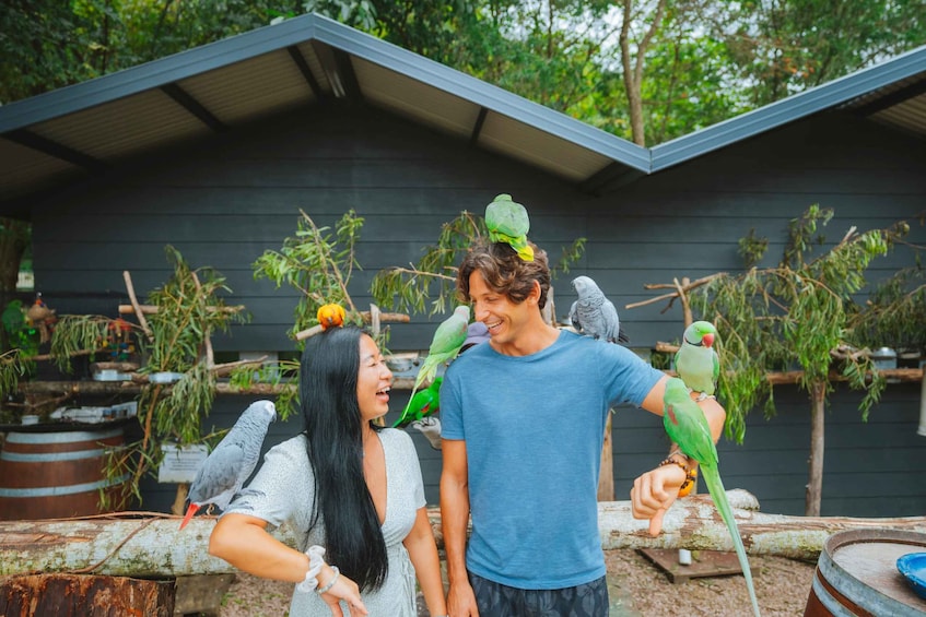 A person with parrots perched on their head and arms, surrounded by trees and a building. 4