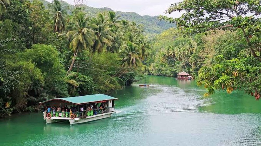 A boat with passengers on a river surrounded by lush greenery and palm trees. 2