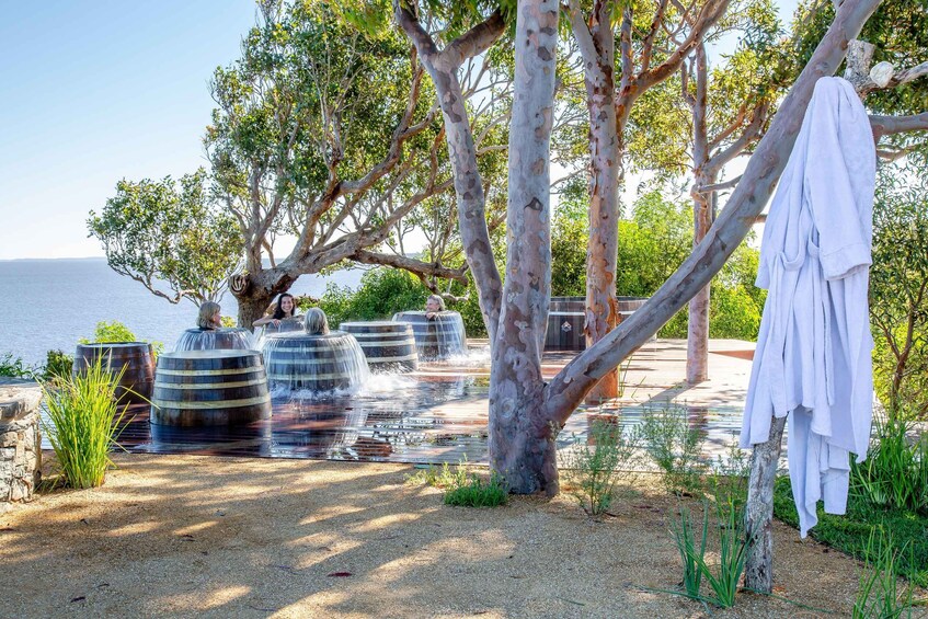 A serene outdoor setting with eucalyptus trees, a beach in the background, and a white towel hanging on a tree. 4