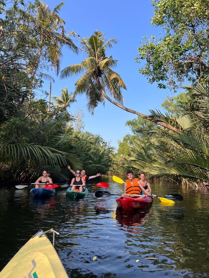 People kayaking on a river surrounded by palm trees. 3