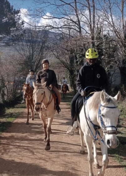 A group of people riding horses on a dirt path surrounded by trees and snow-capped mountains. 1