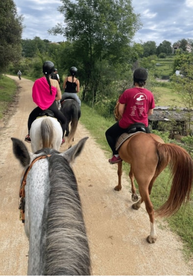 A dirt path with horses and riders. 5