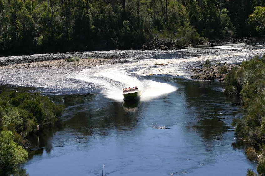 A boat speeding through a river surrounded by dense forest. 2