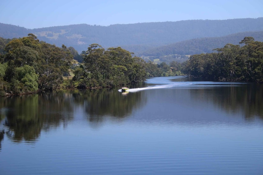 A calm river with a boat creating a wake, surrounded by dense green forest and hills in the background. 4