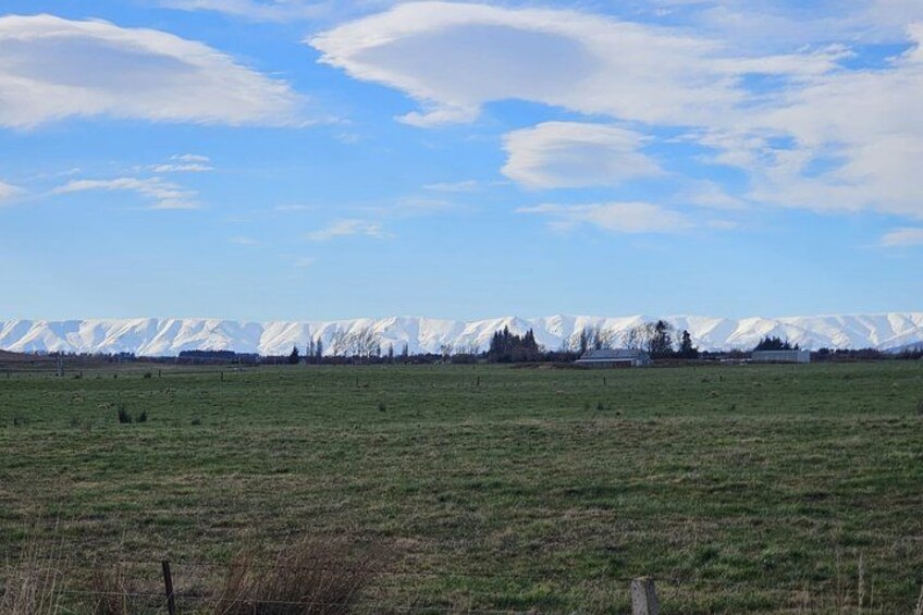 A grassy field with a mountain range in the background. 5