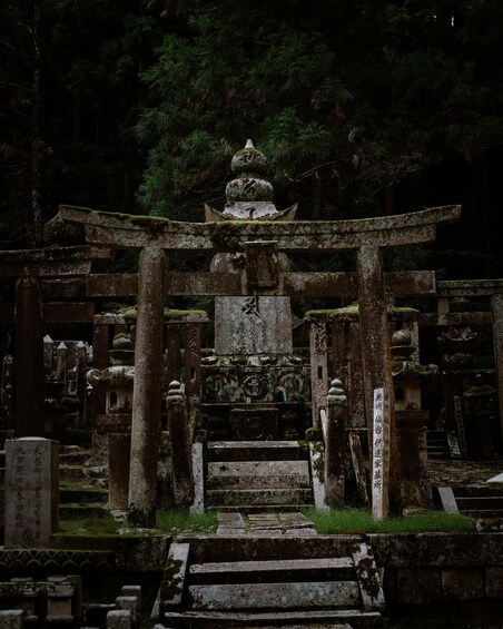 Een traditionele Japanse torii poort die leidt naar een schrijn, omringd door stenen lantaarns en trappen. 2