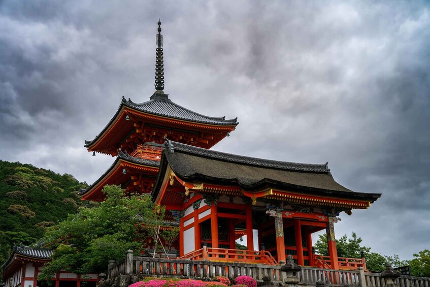 Een traditionele Japanse pagode met een meerlaags dak, omgeven door weelderig groen. 4