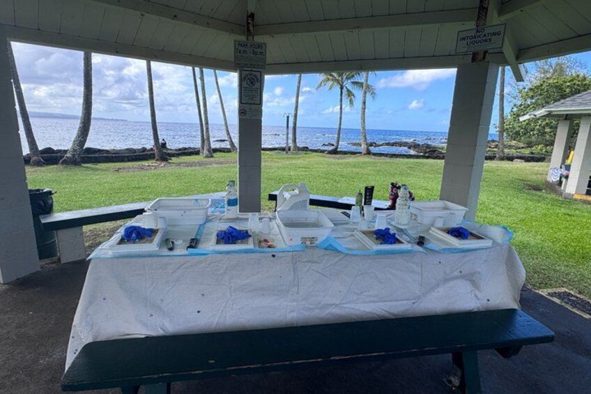 A covered picnic table with a white tablecloth, a sign indicating 'No Smoking', and a view of the ocean and palm trees in the background. 2