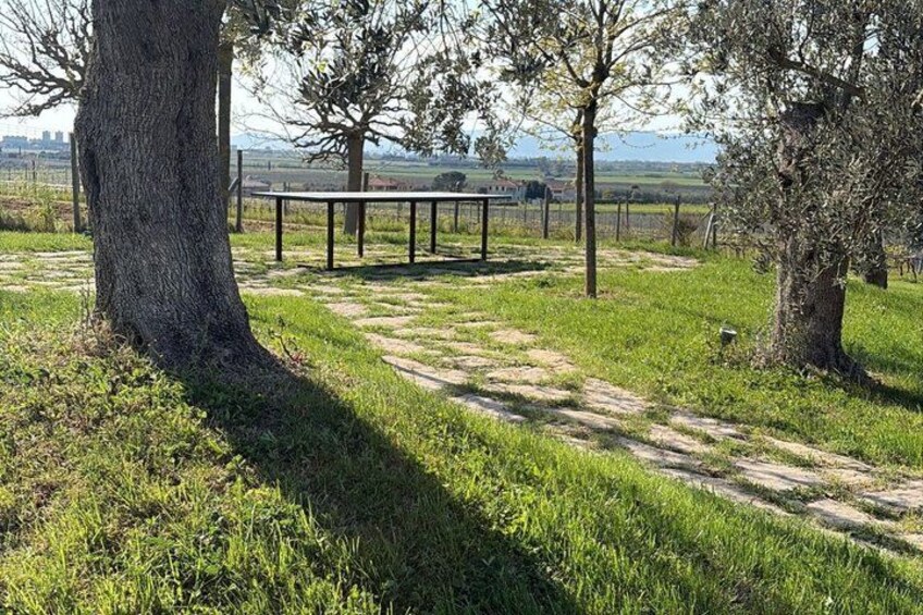 A grassy area with a paved path, trees, and a fence. 3