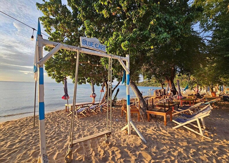 A beach with a swing set, wooden chairs, and umbrellas under a tree. 2