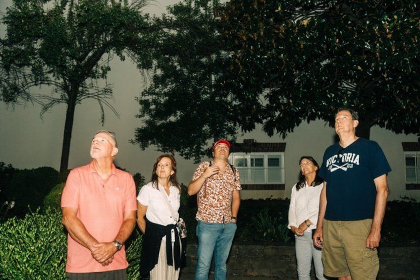 A group of people standing outdoors, a tree, and a building in the background. 5
