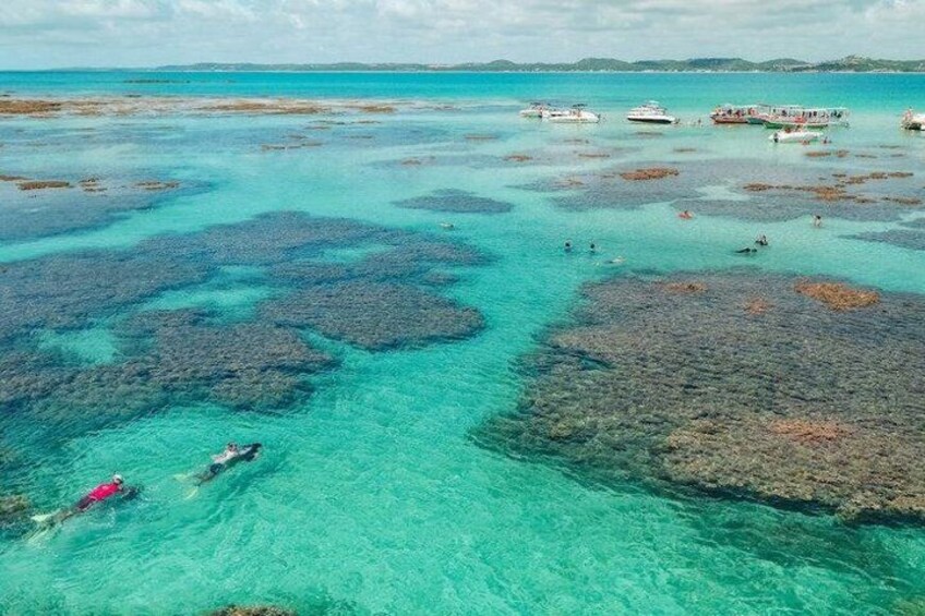 A clear turquoise sea with coral reefs, boats, and people swimming. 3