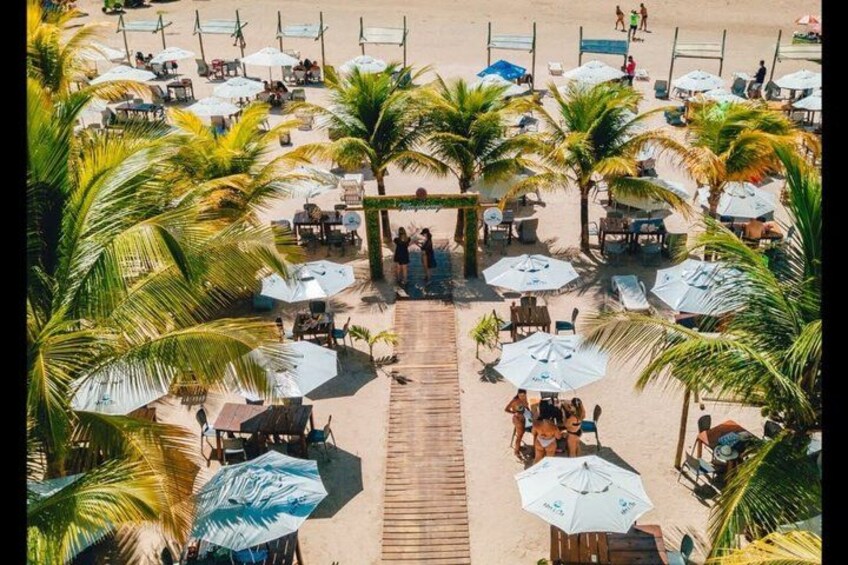 A beach with palm trees, sun umbrellas, and beach chairs. 3