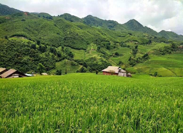 Picture 9 for Activity 2D1N Authentic Trekking with Dragonmountainfamily 4