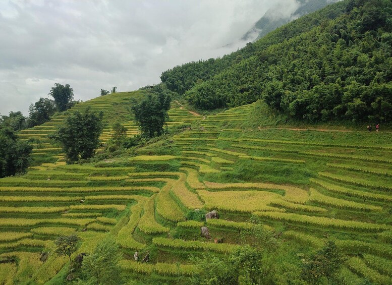 Picture 10 for Activity 2D1N Authentic Trekking with Dragonmountainfamily 5