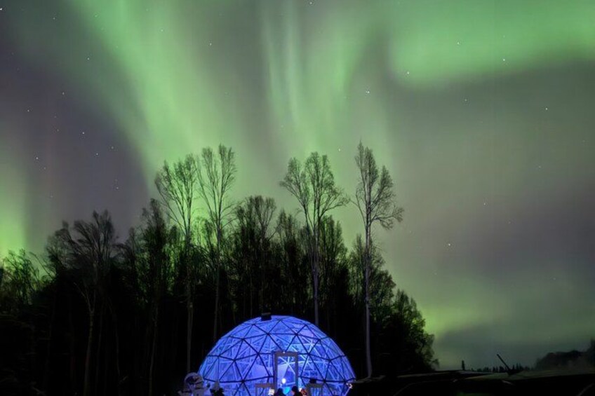 The Northern Lights over a forest with a dome-shaped structure. 3