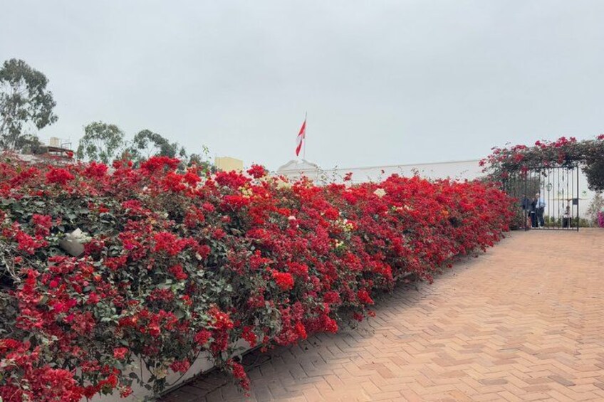 A pathway lined with red flowers, a flag, and a gate. 4