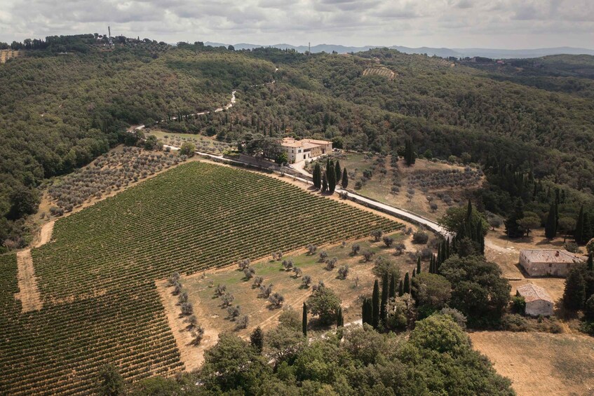 A vineyard with rows of grapevines, a stone building, and rolling hills in the background. 5