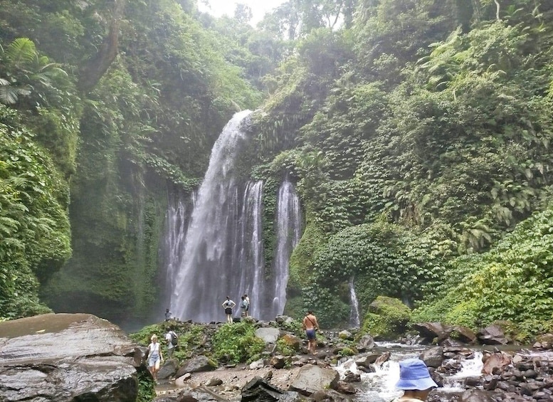 A waterfall surrounded by lush greenery. 1