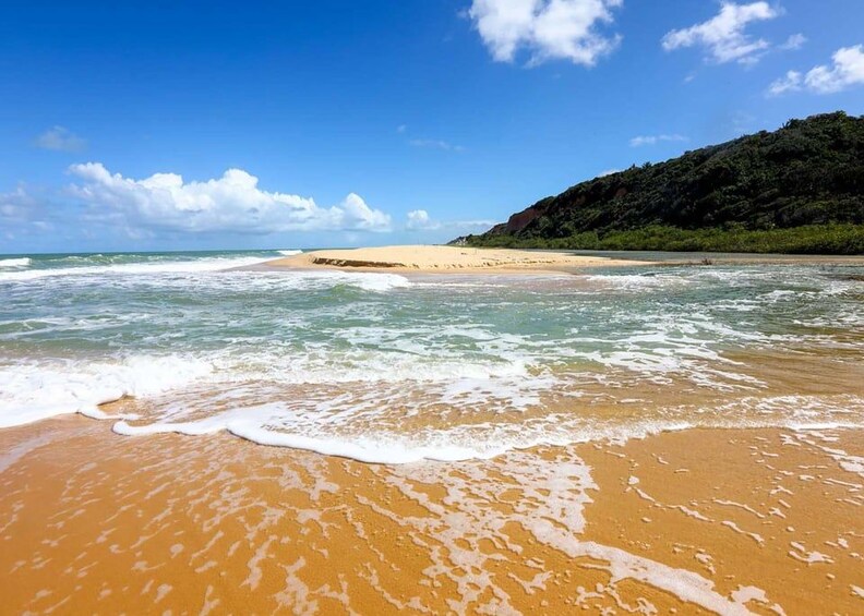 A beach with waves, a sandy shore, and a forested hill. 1