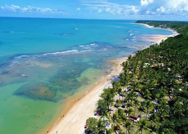 A tropical beach with clear turquoise waters, a sandy shore, and dense palm trees. 5