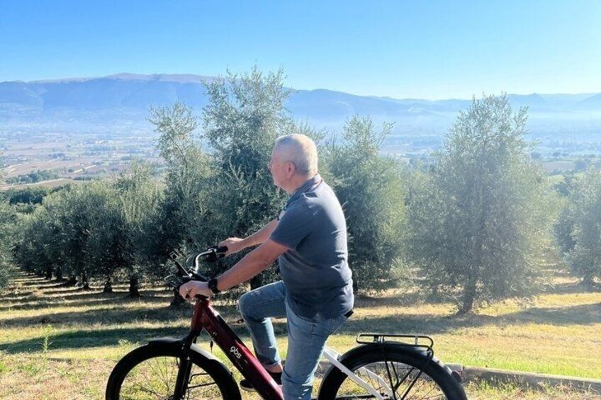 A man riding a bicycle with a scenic view of olive trees and distant mountains. 1
