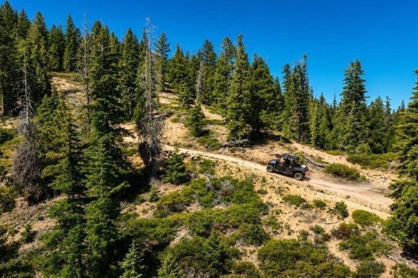 A quad bike on a dirt trail in a forested area. 2