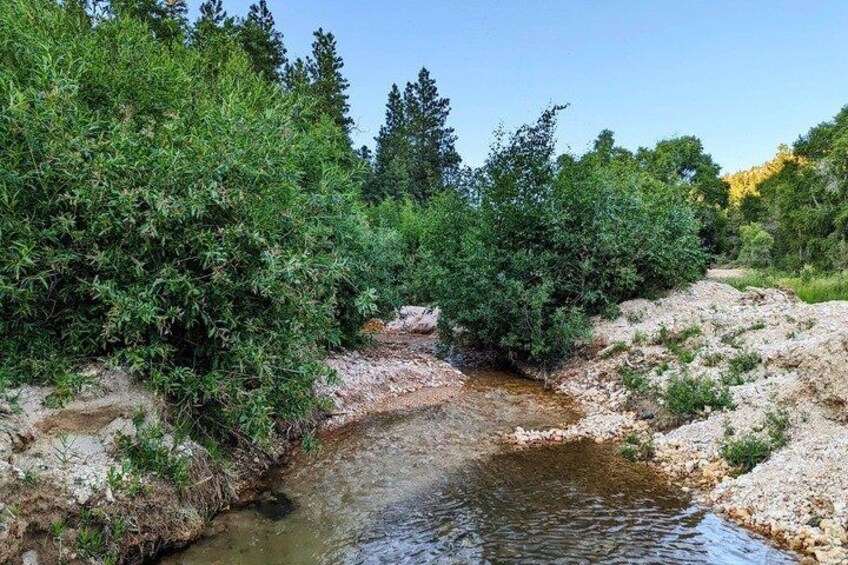 A small stream flowing through a rocky landscape with dense green shrubbery on both sides. 5