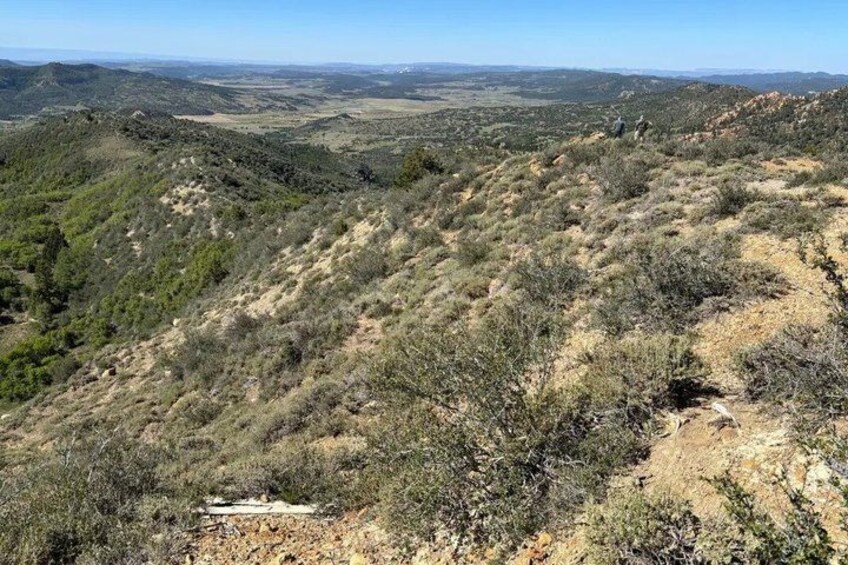 A hilly landscape with sparse vegetation and a clear sky. 1
