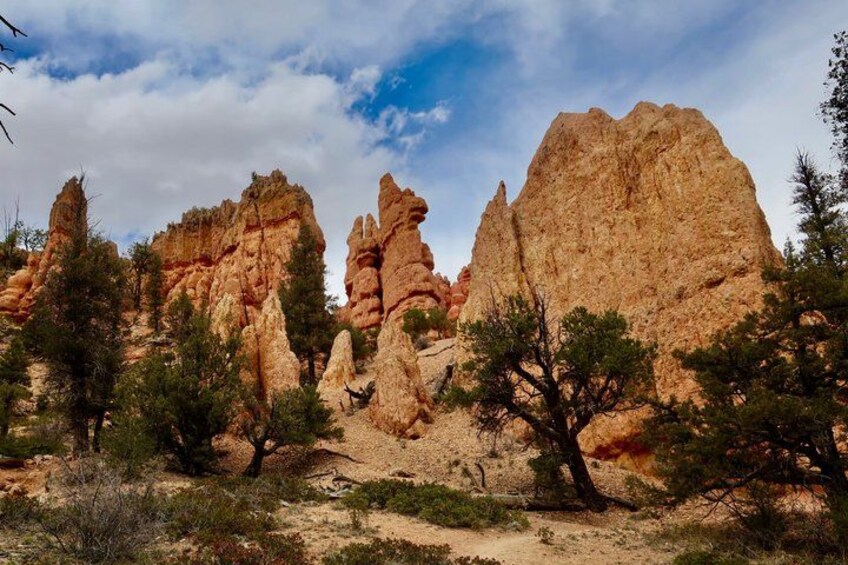 A desert landscape with prominent red rock formations and sparse vegetation. 5