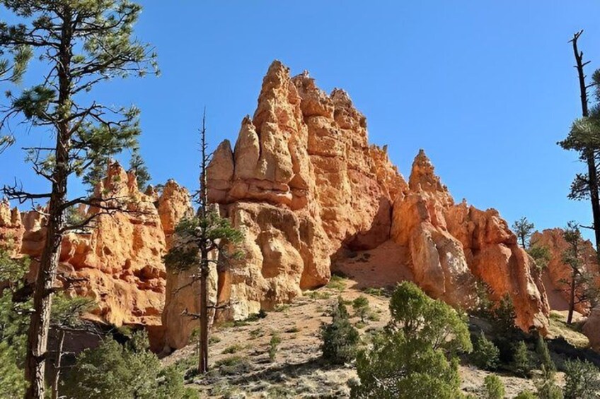 A rugged rock formation with sparse vegetation. 4