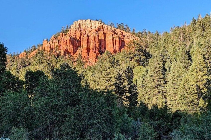 A red rock formation surrounded by dense green forest. 4