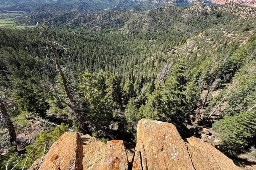 A forested mountain landscape with a prominent rock formation in the foreground. 1
