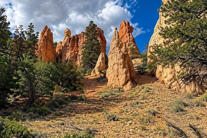 A desert landscape with prominent rock formations and sparse vegetation. 5