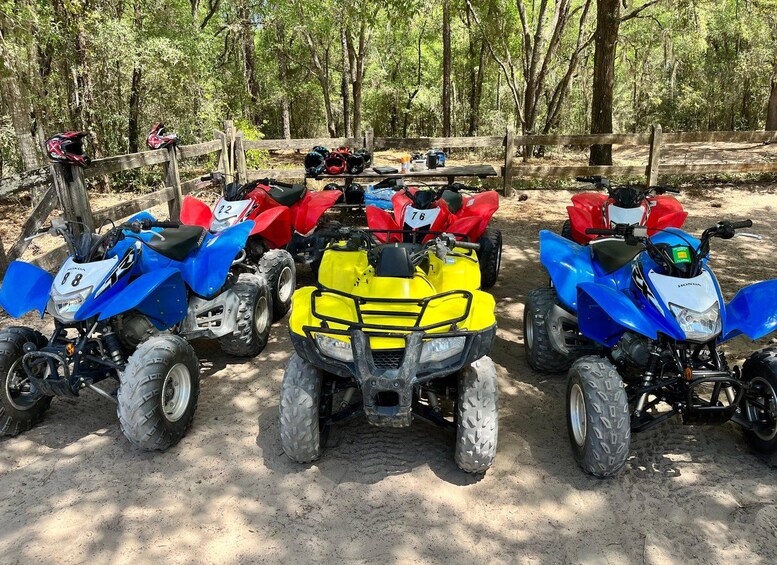 A row of ATVs parked on a dirt path in a wooded area. 4