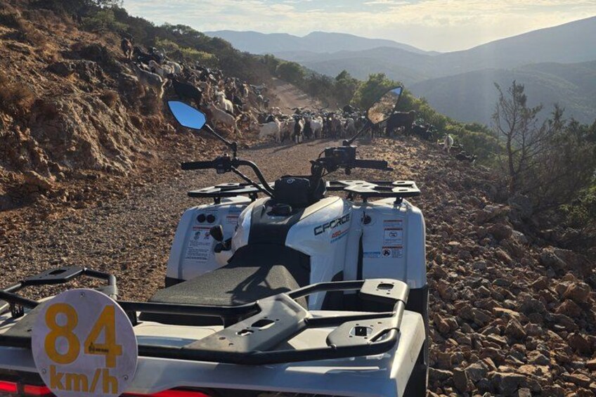 A rocky road with a vehicle marked '84 km/h' and a group of people in the background. 2