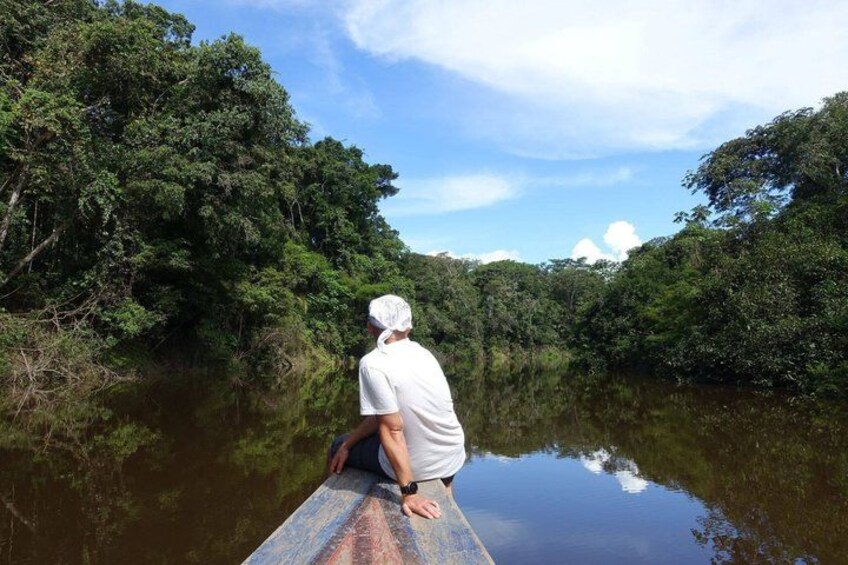 A person sitting on a wooden dock overlooking a calm river surrounded by dense greenery. 1