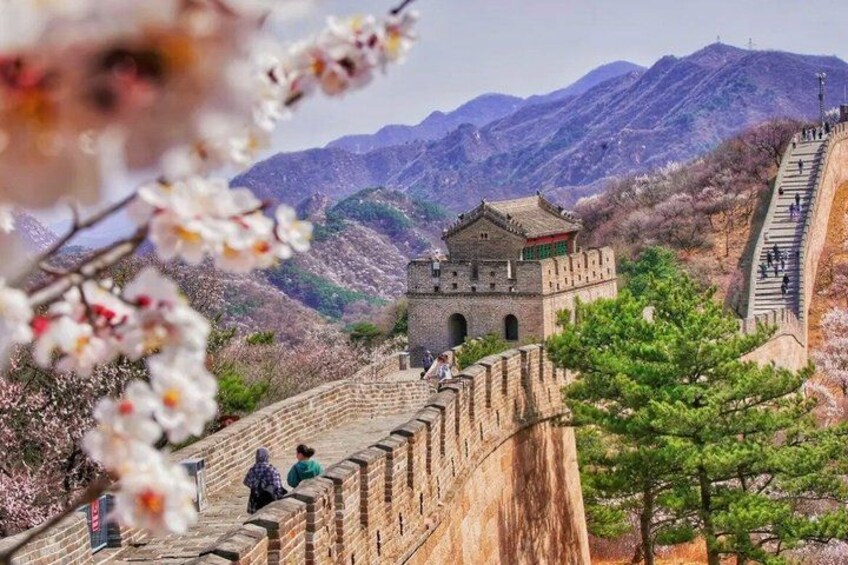 The Great Wall of China, a historic fortification, with a mountainous backdrop and cherry blossoms in the foreground. 3