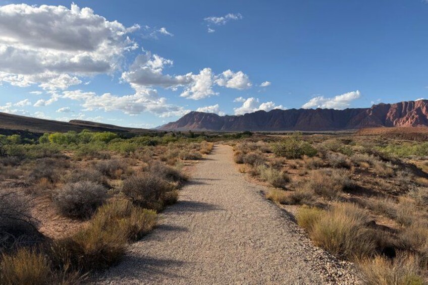 A gravel path in a desert landscape with sparse vegetation and distant mountains under a partly cloudy sky. 2