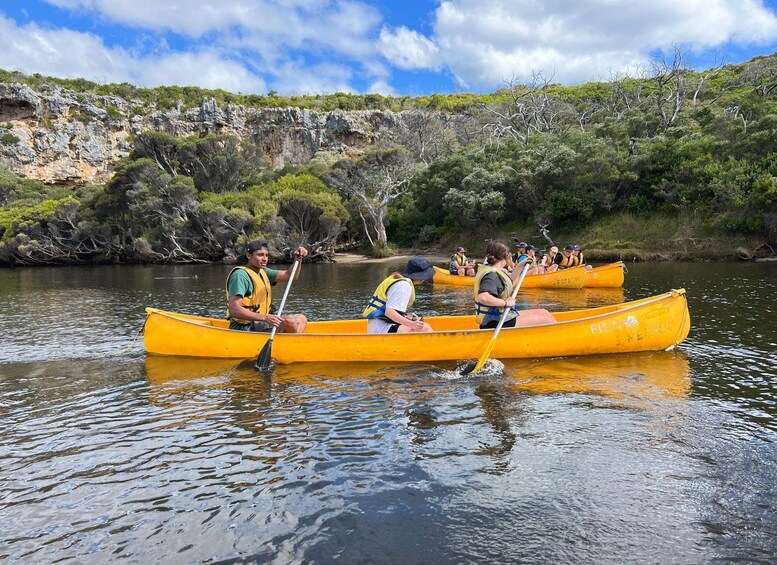 People in yellow canoes on a calm river surrounded by greenery and rocky cliffs. 2