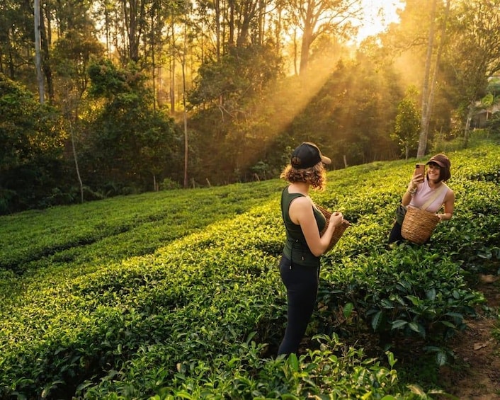 Ella: Hands-On Tea Making Experience with Tasting 1