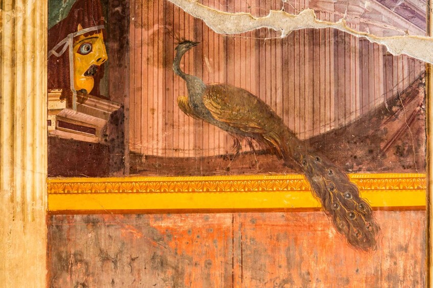 Picture 2 for Activity Oplontis Scavi: Guided visit of Villa Poppea 3