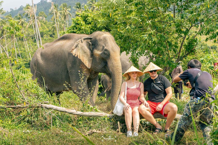 A couple sitting on a log with an elephant nearby in a lush, green forest. 4