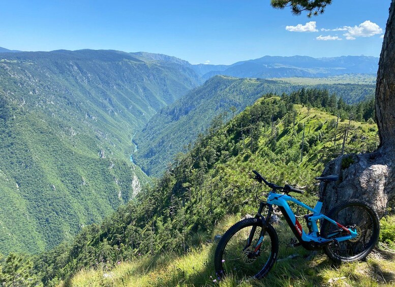 Paisaje de montaña con una bicicleta azul de montaña apoyada en un árbol. 1
