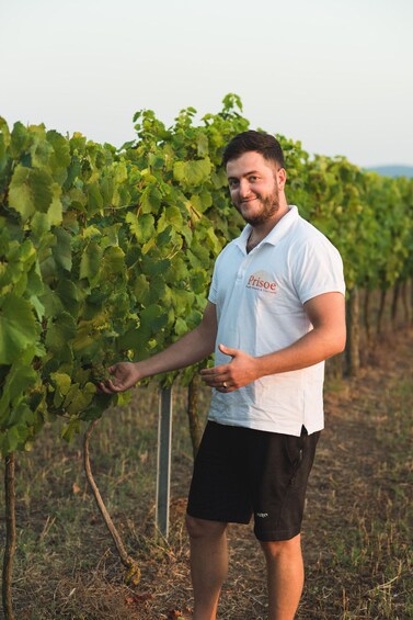 A man in a vineyard holding grapes. 5