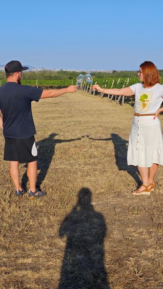 Two people holding wine glasses in a vineyard with rows of grapevines. 2