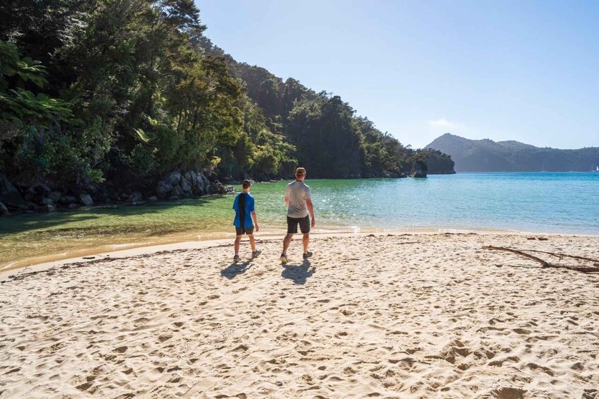 Dos personas de pie en una playa arenosa con agua cristalina y una colina boscosa al fondo. 2