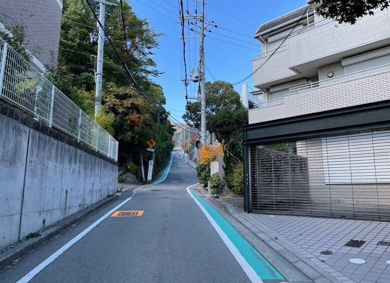 Una calle urbana estrecha con un carril bici, un paso de peatones y un edificio con una persiana baja. 5